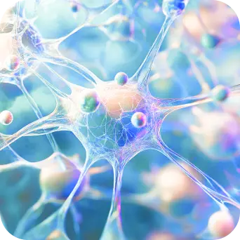 Graph Neural Network